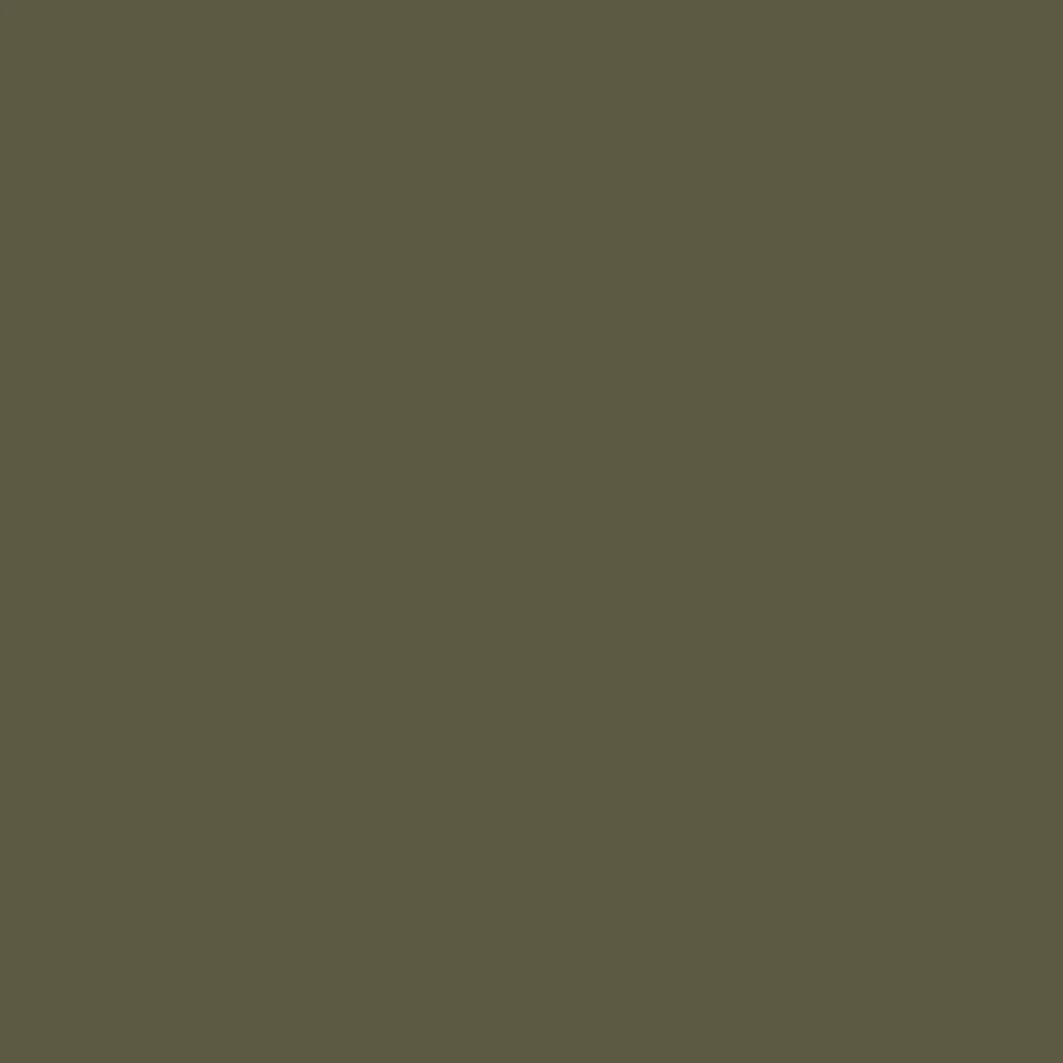 Cali Cargo Swim Short - Khaki
