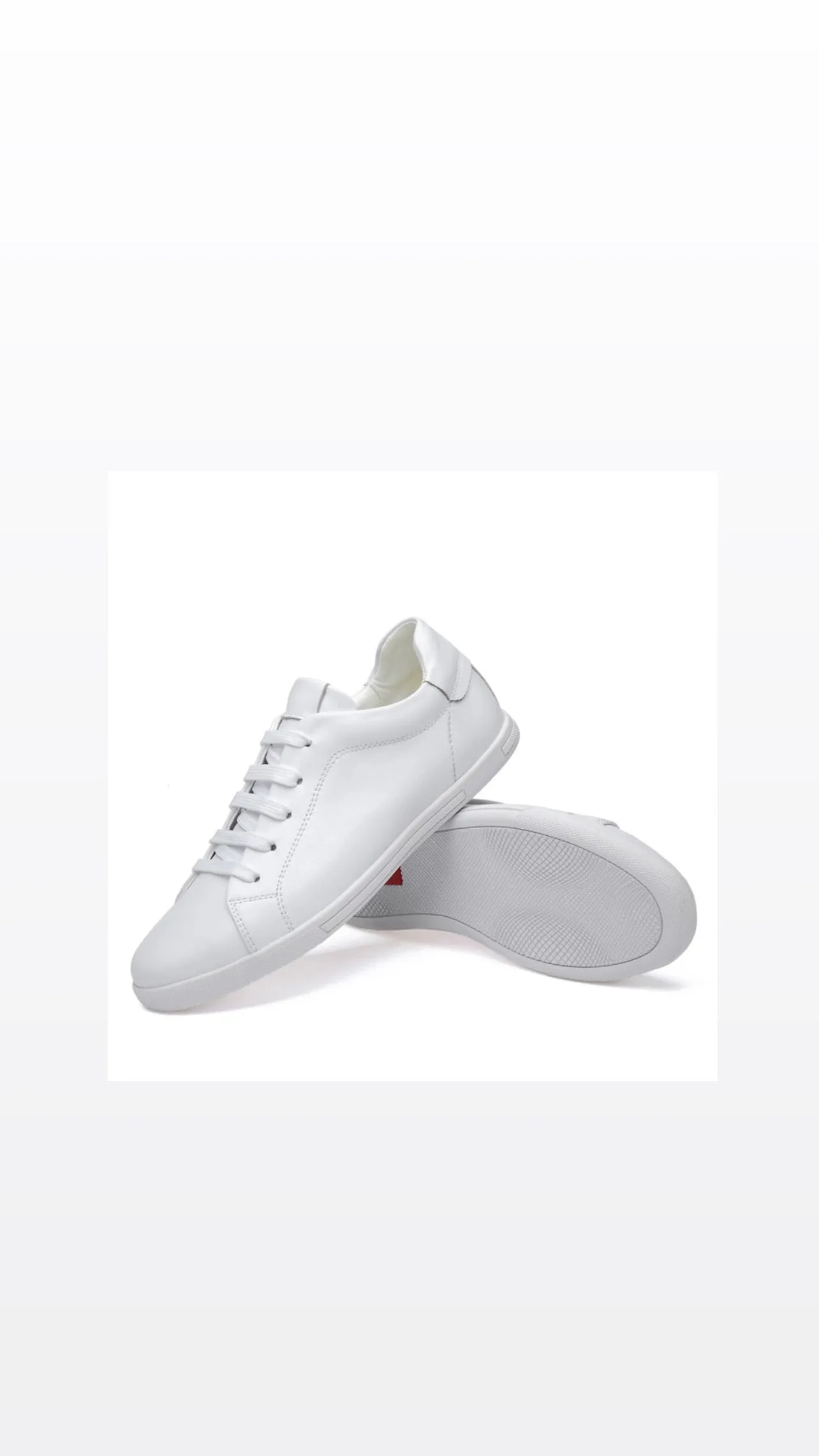 Light Leather Sneaker- White