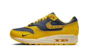 Nike Air Max 1 CO.JP Michigan Head to Head