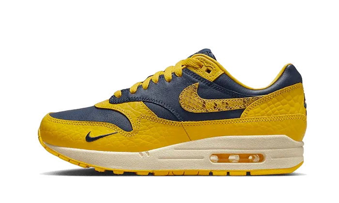 Nike Air Max 1 CO.JP Michigan Head to Head