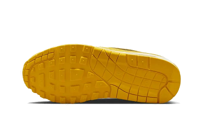 Nike Air Max 1 CO.JP Michigan Head to Head