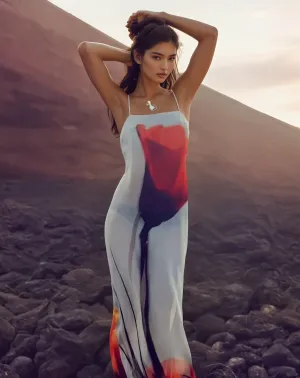 Selina Sheer Maxi Dress™