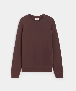 Surf Terry Sweatshirt in Cordovan