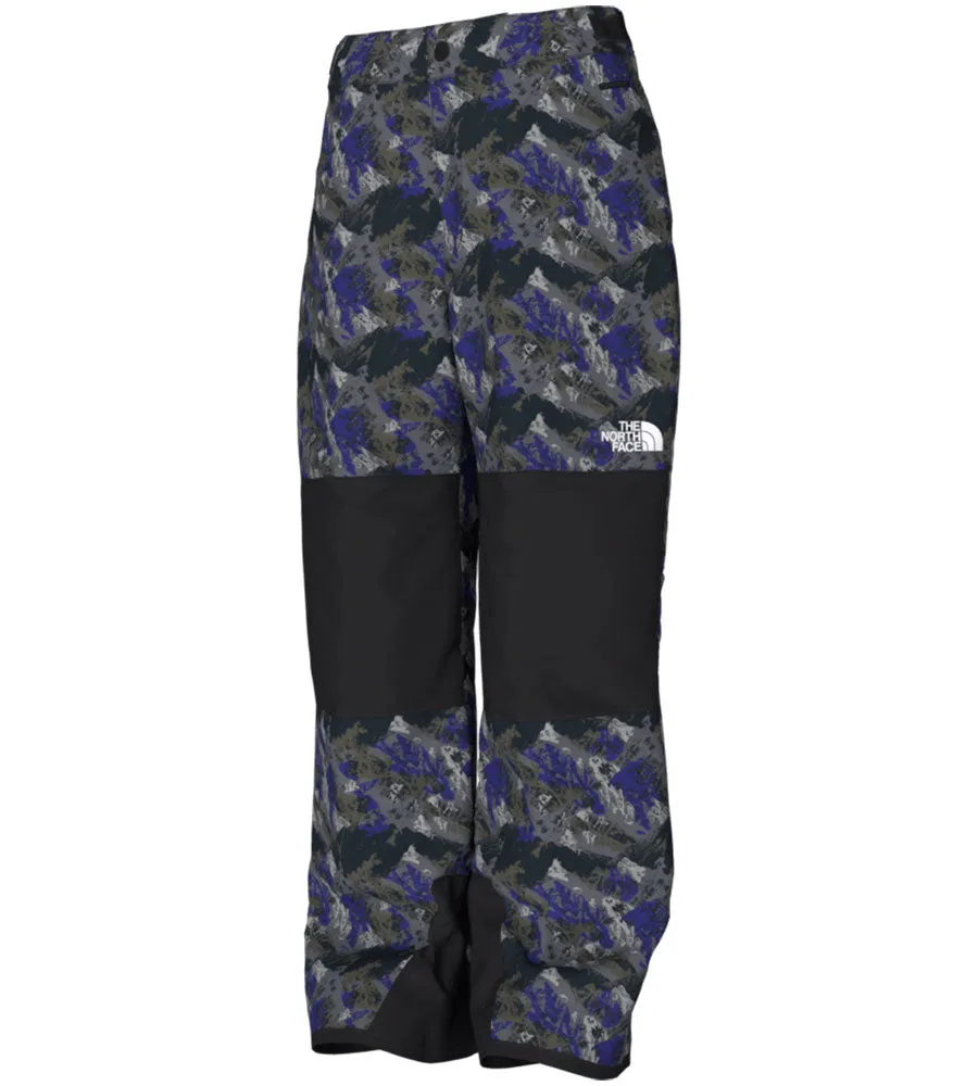 The North Face Kids' Freedom Insulated Pant TNF Black Mountaintop Print 2023