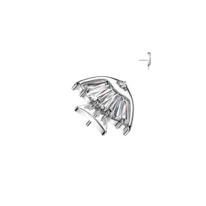 Titanium Threadless Flat Back CZ Fish Earring